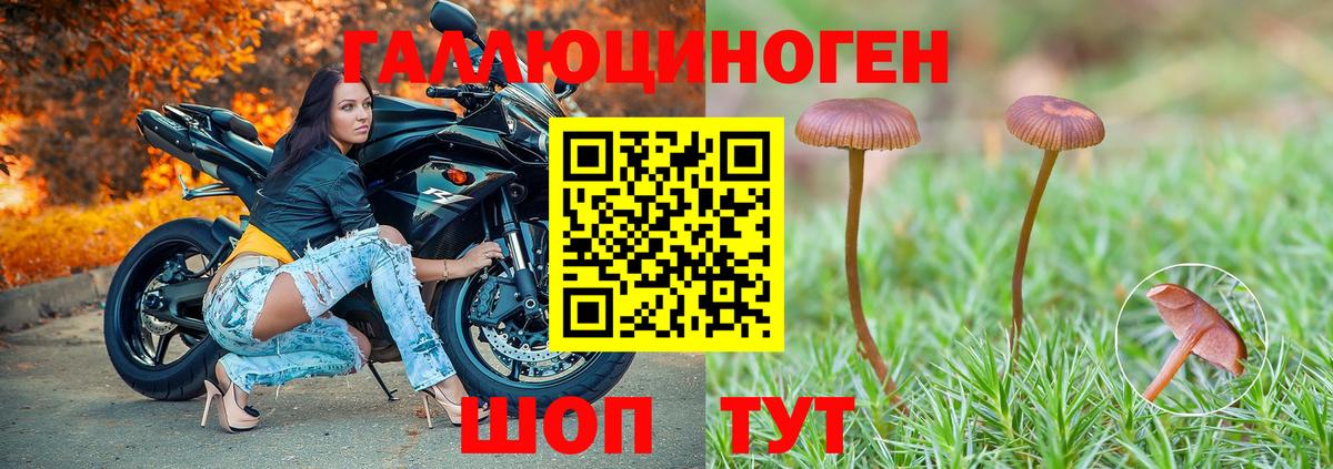 Галлюциногенные грибы Magic Shrooms Ачхой-Мартан